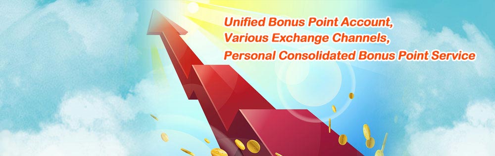 Personal Consolidated Bonus Point Service